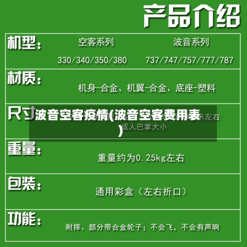 波音空客疫情(波音空客费用表)-第2张图片