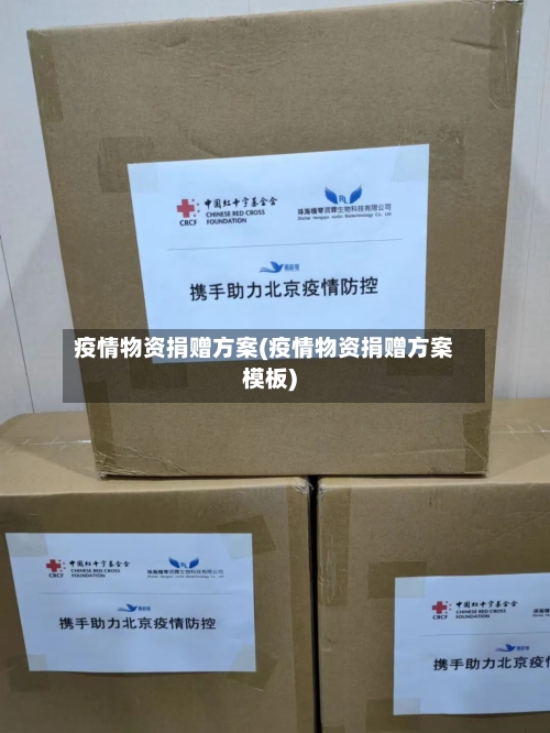 疫情物资捐赠方案(疫情物资捐赠方案模板)