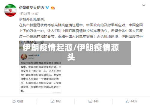伊朗疫情起源/伊朗疫情源头-第2张图片