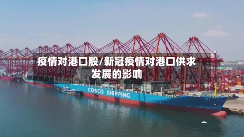 疫情对港口股/新冠疫情对港口供求发展的影响