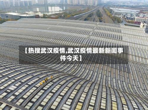 【热搜武汉疫情,武汉疫情最新新闻事件今天】-第3张图片