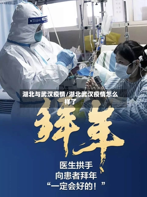 湖北与武汉疫情/湖北武汉疫情怎么样了-第3张图片
